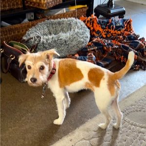 Meet your Posher, Diane